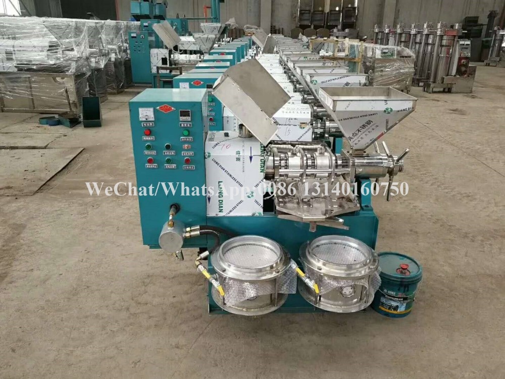 80-125kg/H Nuts Processing Machine Shea Automatic Oil Extraction Machine