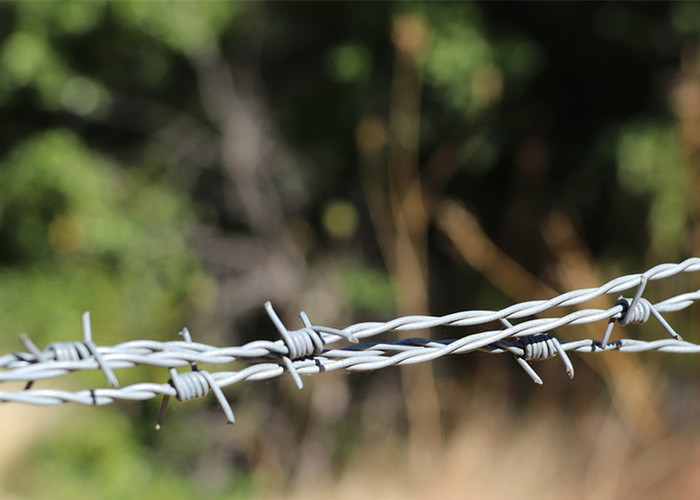 Garden Anti-Theft Double Strand Reverse Twist Hot Dipped Galvanized Barbed Wire Roll