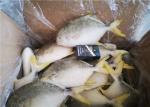 400G​ Frozen Pomfret Fish
