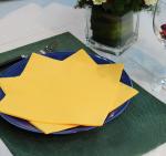 Christmas Color Paper Napkin Soft Disposable For Four Seasons