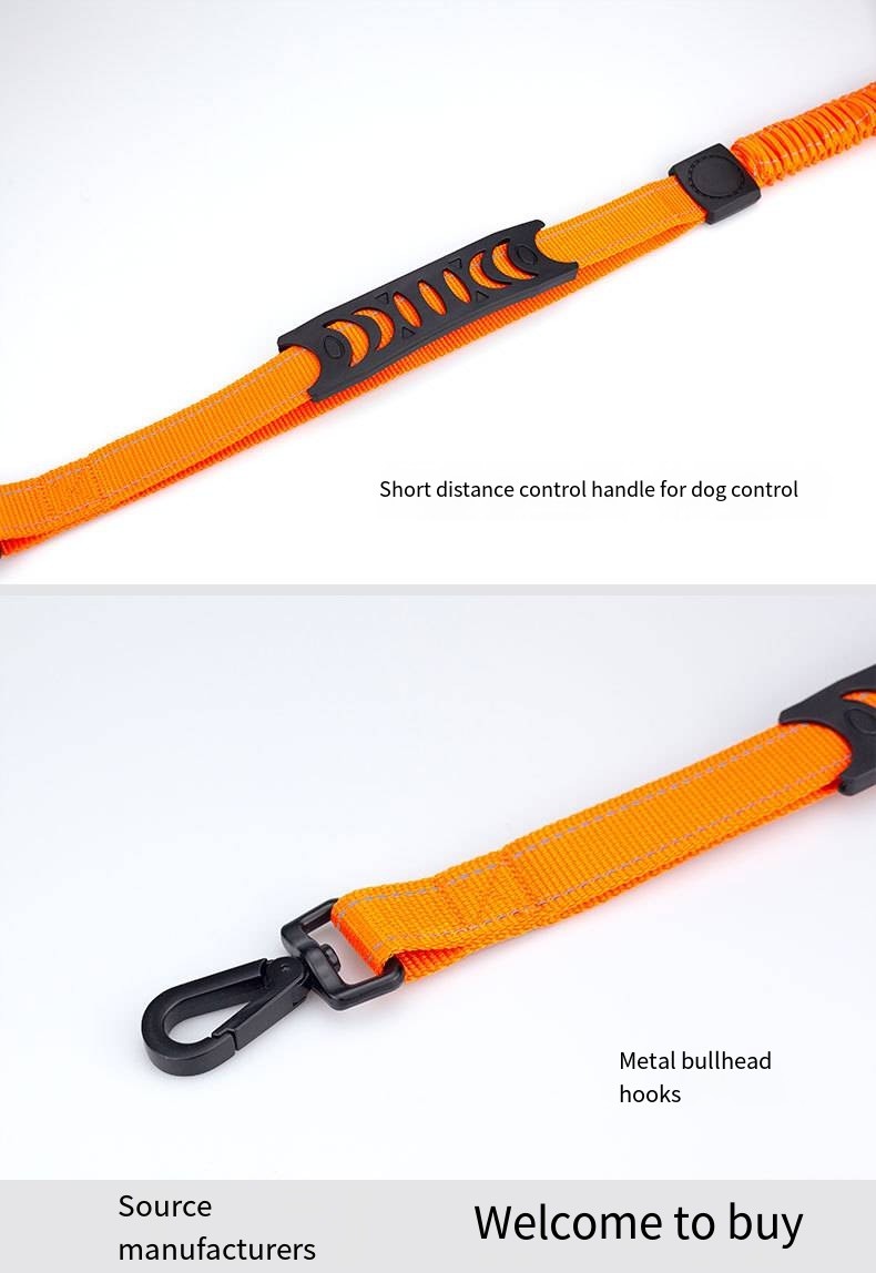 Custom Multi Functional Pet Leash Hands Free Dog Leash And Collars Set With Poop Bag