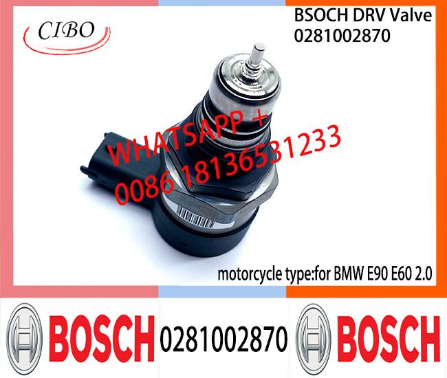 BOSCH DRV Valve 0281002870 Control Valve 0281002870 for BMW E90 E60 2.0 D