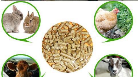 Agro Machines Wood Pellet Mill Made in China/ Wood Sawdust Biomass Pellet Making Machine