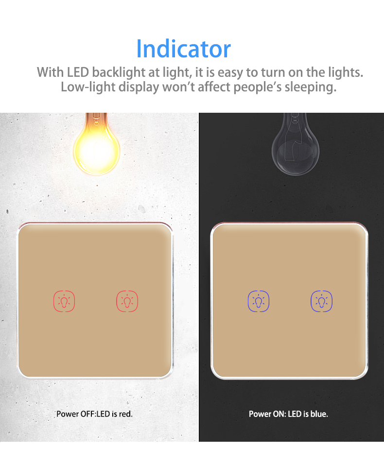 WiFi 240V 2 Gang Tuya Smart Switch With Google Alexa Voice Control