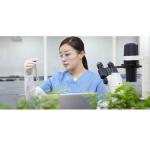 Low Price Goji Berry Plant CAS 11-40-5 Wolfberry Extract For Health