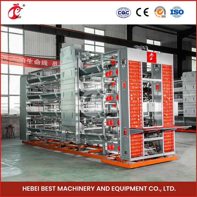 Automated Poultry Layer Cage With Feeder And Adjustable Nipple Drinker System