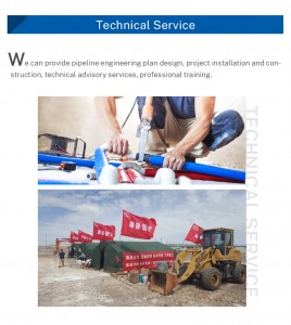 company details 4
