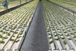 Indoor Farming Vertical Hydroponic NFT System Channel 100x50mm 100x100mm