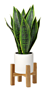 faux plants