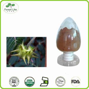China Hot sale Tribulus Terrestris Extract Fructus Tribuli P.E. powder 40% Saponins wholesale
