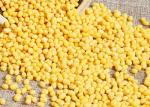 Peeled Red Adzuki Beans Agricultural Food Products For Improving Body Immunity