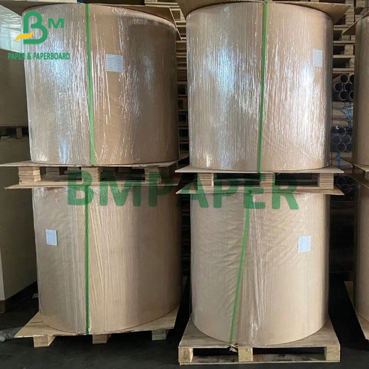 Sugarcane Fiber Paper