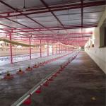 Poultry Farm Automatic Chicken Drinkers And Feeders