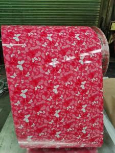 China Zinc Coating Prepainted Galvanized Steel For Construction Projects wholesale