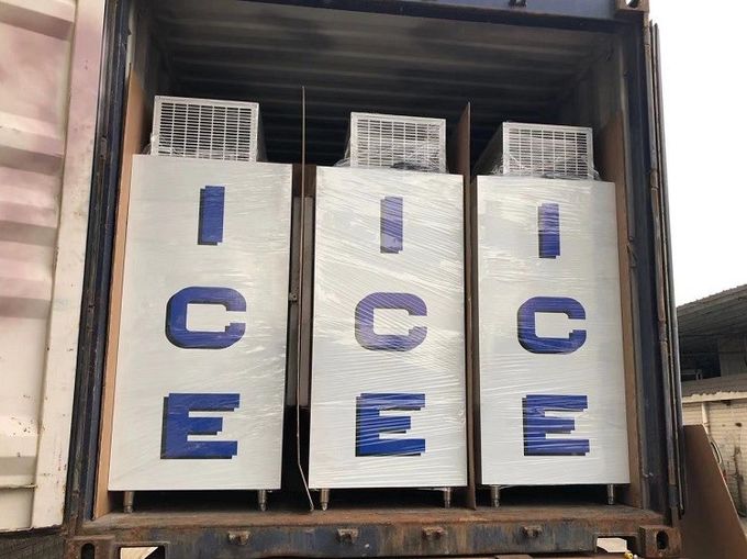 Indoor Commercial Ice Freezer For Supermarket 30 Cu. Ft. Cold Wall Type 3