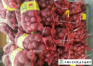 China Big Size Fresh Yellow Onion Vacuum Packing Peeling Sell To Supermarket wholesale