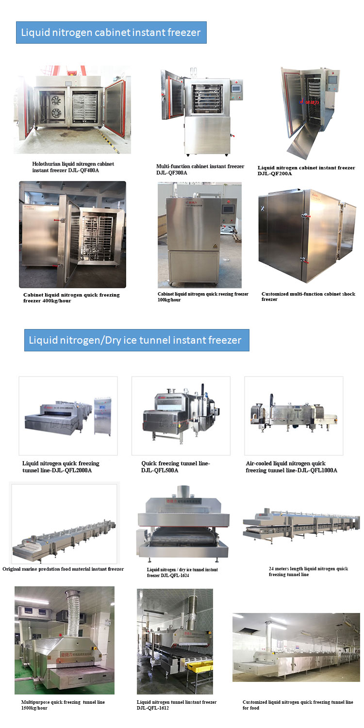 800KG/H Mesh Belt Tunnel Freezer