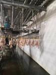 Semi Auto Chicken Feather Plucking Equipment Slaughterhouse Poultry Plucking