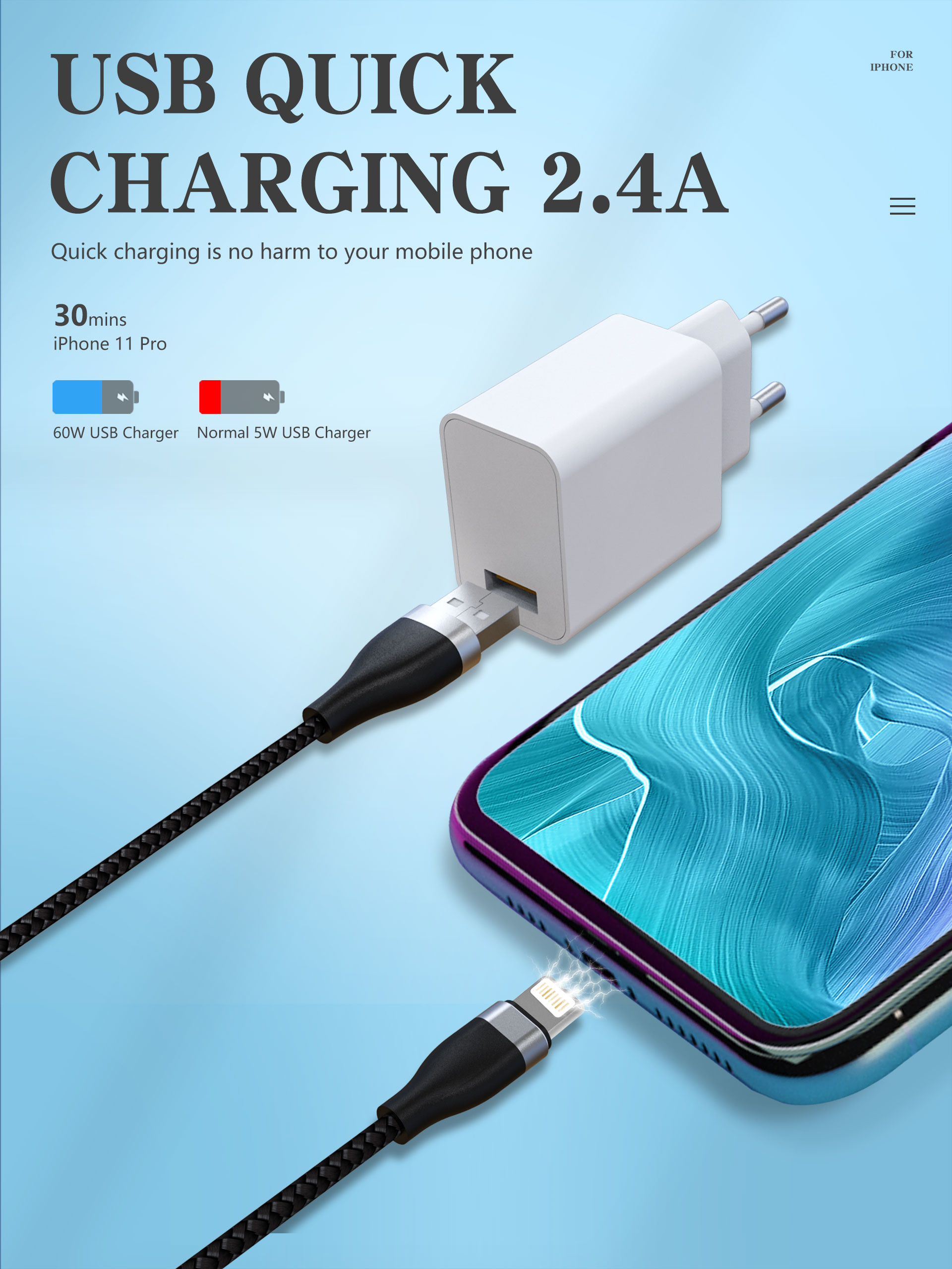 BSCI Apple Iphone Charger Cord , OCC 3FT Lightning To Usb Cable