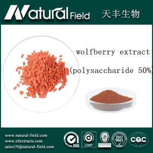 China price-off promotions Wolfberry Extract powder wholesale