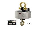 Electronic Industrial Hanging 10 Ton Digital Crane Scale
