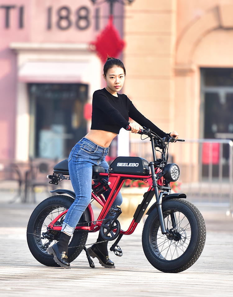 Electric Bicycle GOMID 750W 48V 20 Inch E Bike Mountain Fat Tire Ebike With High Power Motor