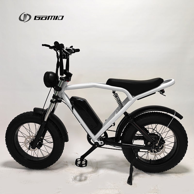 48V 500W City Bike Long Range Retro E-Bike with Powerful Lithium Battery and Disc Brake
