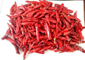 China Halal Certified New Generation Dried Red Chile Peppers 50000-90000SHU wholesale