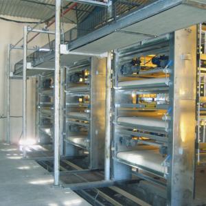 China Zinc Alum Farm Cleaning Machine , 2.2kw 3kw H Type Layer Chicken Cage wholesale