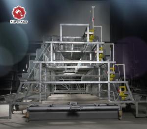 China Egg Collection Broiler Baby Chick Cage With Feeding System wholesale