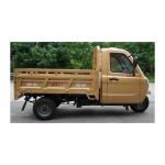 Adult Fully Enclosed Cabin Cargo 3 Wheel Motorcycle Tricycle with 1000W Power