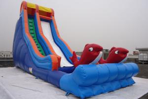 China Single Lane Fish Decorated Blow Up Water Slide PVC Swimming Pool for Sale wholesale