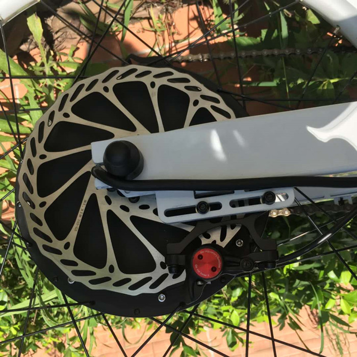 Flexible Off Road Electric Mountain Bikes High Speed With Brushless Motor