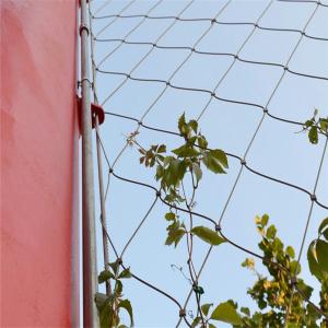 China Stainless Steel Cable Mesh As Plant Climbing wholesale
