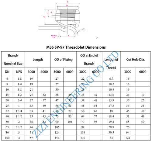 3 " BSPP OLET Pipe Fittings 3000 LB Pressure ASTM A105N High Temperature
