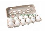 Energy Saving Fully Automatic Pulp Molding Machine , Egg Tray Manufacturing