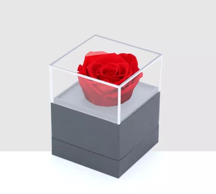 rose grade a preserved rose Wholesale beauty and the beast rose grade a preserved rose