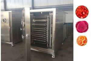 China Industrial Freeze Dryer Machine For Drying Fruits Vegetables wholesale