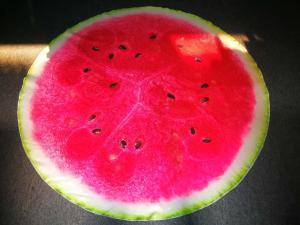 China Round Fruit Print Flannel Polyester Fleece Blanket Knitted Technics wholesale