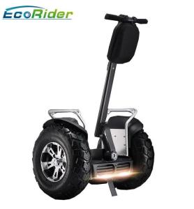 China Electric Self Balancing Scooters 21 inch big tire 2 wheel s4000w Segway wholesale