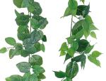 230cm Length Artificial Pothos Vine