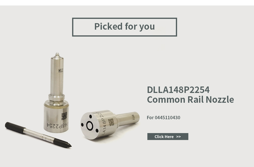 0445110430 Bosch Injector Repair Kit