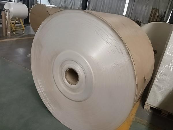 Heat Resistant Wood Pulp PE Coated Kraft Paper 150-350gsm Glossy Matte Finish