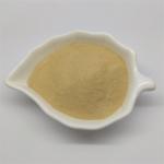 Brewer'S Yeast Powder 45% Animal Feed Yeast High Proteins Feed Additive for