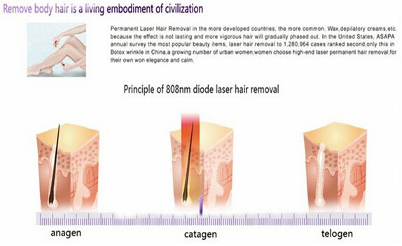Permanent diode laser hair removal machine for Spa or Salon use