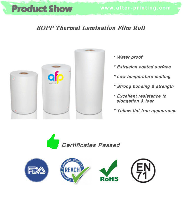 Leading Professional Glossy Matt Film Lamination Roll Manufacturer