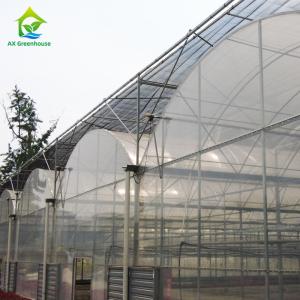 China Chinese Plastic Film Greenhouse For Large Area Farming Growing wholesale