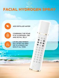 China 400MAH Battery Powered 15ml Hydrogen Mist Spray Deep Moisturizing wholesale