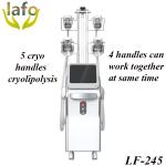5 cryo handles Cryolipolysis Machine/ Cryolipolisis fat freezing machine/