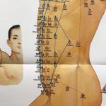 3pcs Meridian Acupuncture Chart ISO Acupuncture Culture